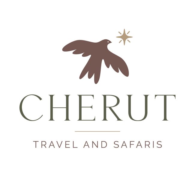 Cherut Primary Logo.jpg